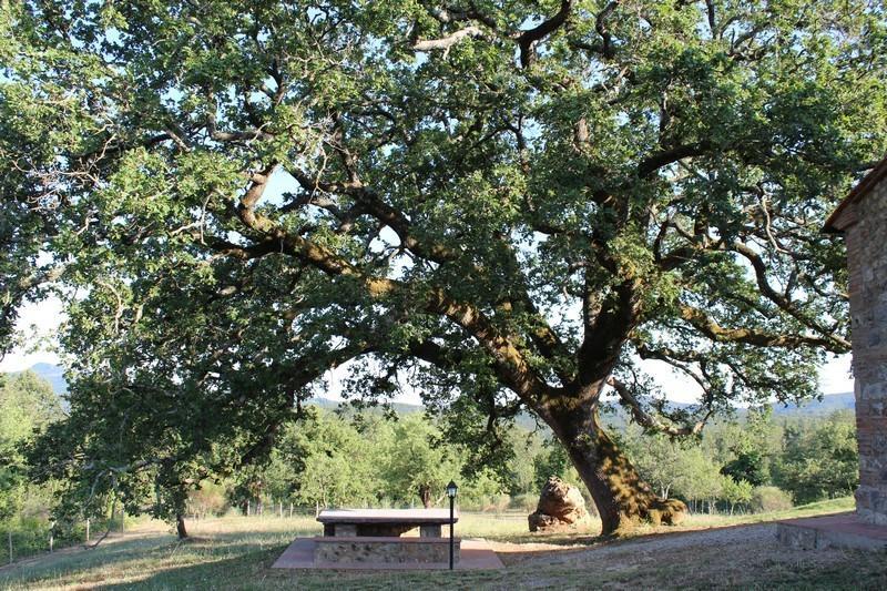 Agriturismo La Quercia Boccheggiano ภายนอก รูปภาพ