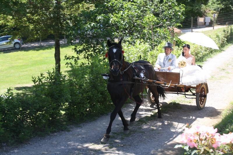 Agriturismo La Quercia Boccheggiano ภายนอก รูปภาพ
